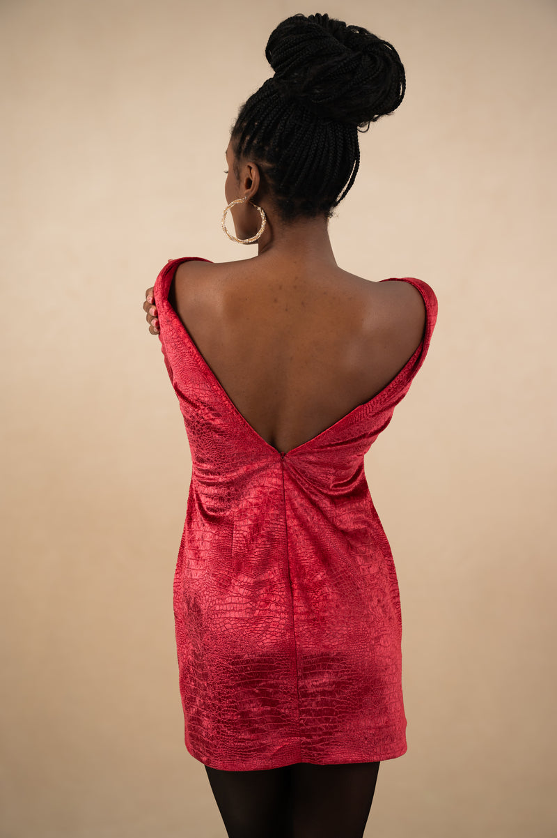Crimson Velvet Mini Dress (Pre-order only)